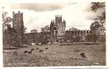ELY CATHEDRAL   . K 113 - Ely
