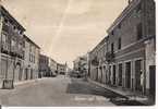 ARIANO NEL POLESINE -  CORSO DEL POPOLO -  B/N VIAGGIATA  1958 -  ANIMATA - Rovigo