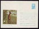 Chevreuil Roumanie ,Roe Deer Romania 1 Registred Stationery COVER 1990  - Romania. - Game