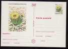 ROMANIA 1997 Entier Postaux Stationery POSTCARD,with Cactusses,cactus. - Cactusses