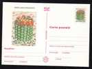 ROMANIA 1997 Entier Postaux Stationery POSTCARD,with Cactusses,cactus. - Cactus