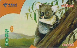 Télécarte CHINE - ANIMAL - KOALA - CHINA TELECOM Phonecard Telefonkarte - 193 - China