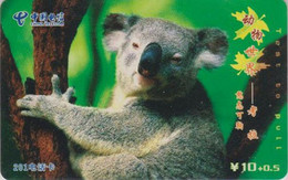 Télécarte CHINE - ANIMAL - KOALA - CHINA TIETONG Phonecard Telefonkarte - 194 - China