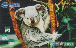 Télécarte CHINE - ANIMAL -  Bébé KOALA / SERIE 2/8 - CHINA TIETONG  Phonecard Telefonkarte  - 200 - Chine