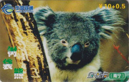 Télécarte CHINE - ANIMAL / SERIE 4/8 - Bébé KOALA - CHINA TIETO?G Phonecard Telefonkarte  - BE 201 - China