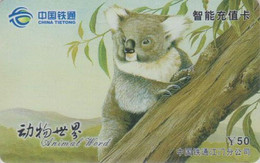 Télécarte CHINE - SERIE ANIMAL WORLD 2/1- KOALA - CHINA TIETONG Phonecard Tier Telefonkarte - 203 - China