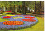 Keukenhof LISSE - Lisse