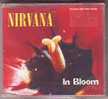 NIRVANA   IN  BLOOM - Autres - Musique Anglaise