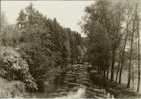 CP De TERMES " La Semois Vue Du Pont Charreaux " . - Chiny