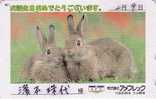 Rare Télécarte Japon - LAPIN - RABBIT Japan Phonecard - KANINCHEN - KONIJN - CONEJO - 217 - Konijnen