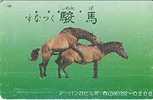 Verry Nice  Japan   Phonecard  Animal  Pferd Horse Cheval   Sexy Erotik - Horses