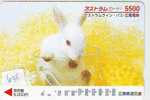 LAPIN Rabbit KONIJN Kaninchen Conejo (635) - Lapins