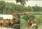 CP De CAMBRON " Cambron Parc / Les étangs - Parc Animalier " BRUGELETTE . - Brugelette