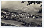 Ref 155 - COMBLOUX - Vue Générale Et La Chaîne Des Aravis - Combloux