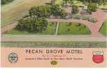 New Bern North Carolina, Pecan Grove Motel, Lodging, C1950s Vintage Curteich Linen Postcard - Other & Unclassified