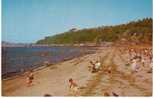 Alki Beach West Seattle WA, Swimming Kids At Beach On 1950s Vintage Postcard - Seattle