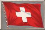 CPA Dessin Colorisée Du Drapeau De La Suisse, Schweiz - Au