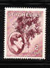 Seychelles 1938-41 KG Coco-de-mer Palm 2c MNH - Seychelles (...-1976)