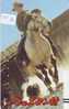 Télécarte CHEVAL (35b)  PFERD REITEN Horse Paard Caballo * CINEMA * FILM * MOVIE * FRONT BAR * BALKEN - Caballos