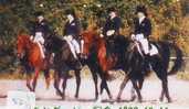 TELEFONKARTE  CHEVAL (50)  PFERD REITEN  * HORSE RIDING * Horse Paard Caballo * HORSE RACE - Pferde