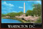 ETATS UNIS-WASHINGTON D C Washington Monument-MB - Sonstige & Ohne Zuordnung