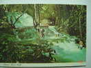 199 JAMAICA  DUNN´S RIVER FALLS     -    AÑOS / YEARS / ANNI  1980 - Giamaica