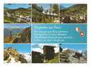 Suisse,Switzerland,Schweiz,Zwitserland.    FIESCH - Eggishorn,Wallis ,Valais(2scans) - Fiesch