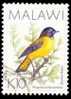 (008 G) Malawi  10K Bird / Oiseau / Vogel / Vogels  Used / Obliterees / Gestempelt  Michel 649 ** 170,00 - Malawi (1964-...)