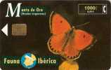 Butterfly Heodes Virgaureae Spain Manto De Oro - Emissions Basiques