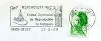 OISEAU / CIGOGNE /  ECHASSIER / OBLITERATION MECANIQUE / REICHTETT - Picotenazas & Aves Zancudas