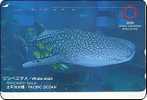 Japan Phonecard  Fisch Fish  Pesce  Poisson  Osaka Aquarium Wahl Shark - Peces