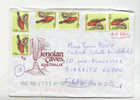 Envloppe Australie Air Mail  A1 - Parrots