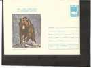 ROMANIA Cover Cod 387 / 1980 BEAR / OURS - Ours