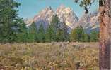 GRAND TETON PEAK - GRAND TETON NATIONAL PARK - WYOMING - 1970 - Yellowstone