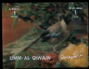 BIRDS / UMM AL QIWAIN / HOLOGRAM . - Moineaux