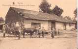 BELGIQUE : 1924:MANHAY (Luxembourg):ATTELAGE ARDENNAIS Et Maison Du Bourgmestre De Vaux Chavanne.Très Belle Carte. - Manhay