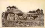 Dolmen Et Menhirs - Dolmen Carnac - Dolmen & Menhire