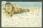 LION - LÖWE - LITHO  - TB - Leones