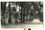 Delcampe - ANSICHTKAART (306) VALKENBURG. 3 BEELDJES  POSTSTEMPEL 1947.   Cartes Postales CPO - Valkenburg
