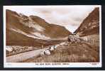 3 Real Photo Postcards Glecoe Argyll Scotland - Sheep On New Road - Waterfall - View From Rest & Be Thankful - Ref 452 - Argyllshire