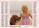 ALMANACH DES PTT  -     1981  -  Sur La Plage  -  Jeune Cavalier - Grossformat : 1981-90