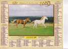 ALMANACH DU FACTEUR -   OLLER  -  2001 -  BERGER ALLEMAND -  CHEVAUX PUR SANG ARABES - Grand Format : 2001-...