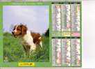 ALMANACH DU FACTEUR -  OBERTHUR  -  1995  -  CHIENS DE CHASSE - Grand Format : 1991-00