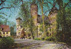 Michelstadt - Schloss Fürstenau Bei Michelstadt Im Odenwald - Michelstadt