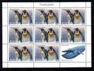 Penguin MS 8 STAMP + LABEL 2007 MNH, ROMANIA - Pinguine