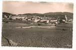 Lorgues (83) : Vue Générale Prise Des Vignes Au Printemps Environ 1950. - Lorgues