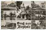 GRUSS Aus DIEPHOLZ . CPSM 9x14 - Diepholz