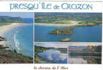 Carte Postale 29. Presqu'île De Crozon Trés Beau Plan - Crozon