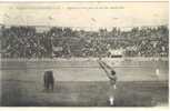 SUERTE DE BANDERILLAS - Appelant Le Toro (taureau) Pour La Pose Des Banderilles - 1923 - Bull