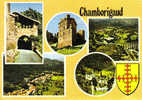 Carte Postale 30.  Chamborigaud Trés Beau Plan - Chamborigaud